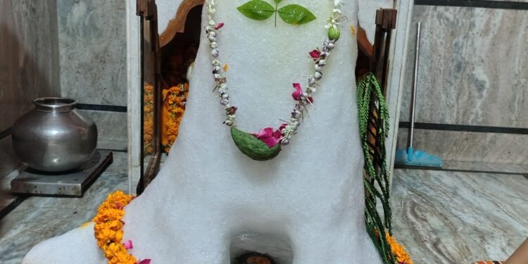 नत्थूसर बास के श्री हनुमान मंदिर स्थित भगवान शिव को अमरनाथ स्वरूप में किया गया अलंकृत, भक्ति भाव से संपन्न हुआ पूजन