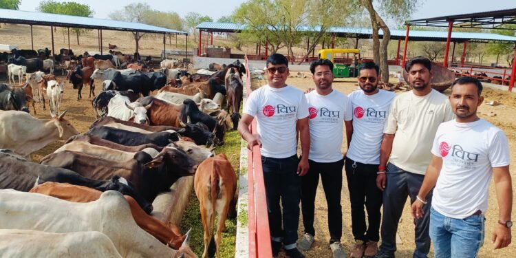 विप्र फाउंडेशन राष्ट्रीय संयोजक सुशील जी ओझा का जन्मदिन गायों की सेवा के साथ मनाया गया