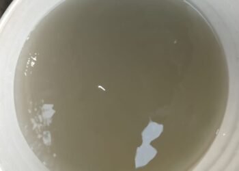 बीकानेर के श्रीरामसर में गंदे पानी से मचा हाहाकार, सीवरेज मिक्स पानी पीने को मजबूर लोग