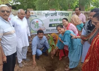 हरियालो राजस्थान के तहत किया पौधारोपण,सार्वजनिक निर्माण विभाग के मुख्य अभियंता श्री जसवंत खत्री रहे मुख्य अतिथि
