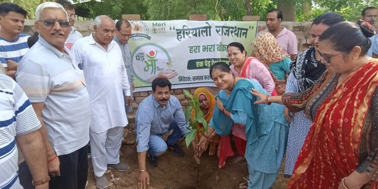 हरियालो राजस्थान के तहत किया पौधारोपण,सार्वजनिक निर्माण विभाग के मुख्य अभियंता श्री जसवंत खत्री रहे मुख्य अतिथि