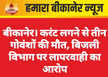 बीकानेर। करंट लगने से तीन गोवंशों की मौत, बिजली विभाग पर लापरवाही का आरोप