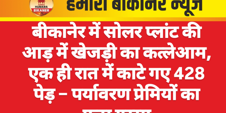 बीकानेर में सोलर प्लांट की आड़ में खेजड़ी का कत्लेआम, एक ही रात में काटे गए 428 पेड़ – पर्यावरण प्रेमियों का फूटा गुस्सा