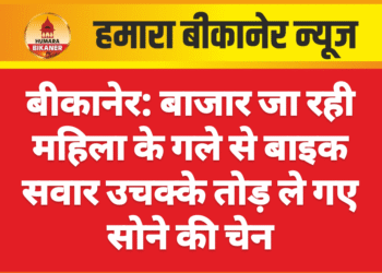 बीकानेर: बाजार जा रही महिला के गले से बाइक सवार उचक्के तोड़ ले गए सोने की चेन