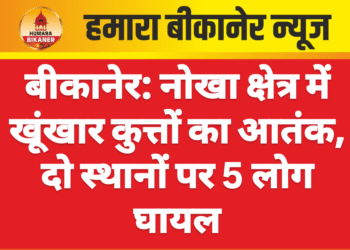बीकानेर: नोखा क्षेत्र में खूंखार कुत्तों का आतंक, दो स्थानों पर 5 लोग घायल