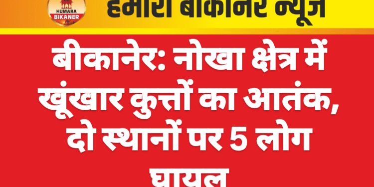 बीकानेर: नोखा क्षेत्र में खूंखार कुत्तों का आतंक, दो स्थानों पर 5 लोग घायल