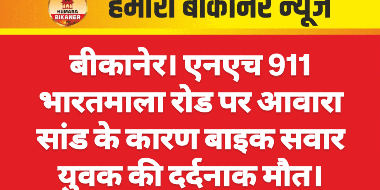 बीकानेर। एनएच 911 भारतमाला रोड पर आवारा सांड के कारण बाइक सवार युवक की दर्दनाक मौत।