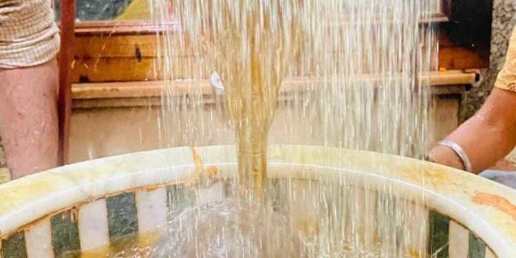 राम मंदिर परिसर महादेव धाम में भव्य श्रृंगार व महाआरती का आयोजन