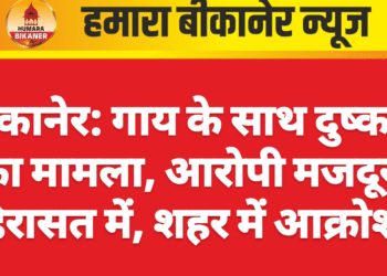 बीकानेर: गाय के साथ दुष्कर्म का मामला, आरोपी मजदूर हिरासत में, शहर में आक्रोश