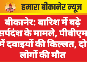 बीकानेर: बारिश में बढ़े सर्पदंश के मामले, पीबीएम में दवाइयों की किल्लत, दो लोगों की मौत