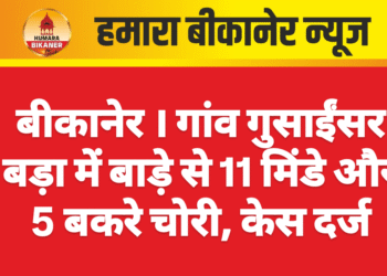बीकानेर । गांव गुसाईंसर बड़ा में बाड़े से 11 मिंडे और 5 बकरे चोरी, केस दर्ज