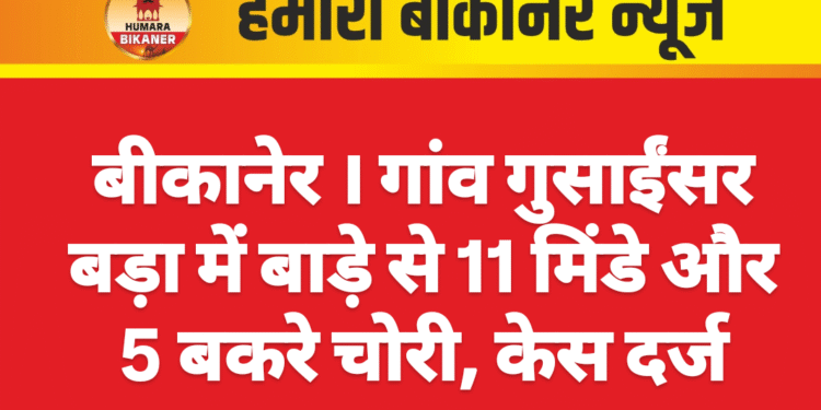 बीकानेर । गांव गुसाईंसर बड़ा में बाड़े से 11 मिंडे और 5 बकरे चोरी, केस दर्ज