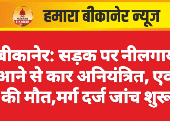 बीकानेर में नीलगाय से टकराकर कार अनियंत्रित, एक की मौत, मर्ग दर्ज जांच शुरू