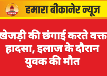 खेजड़ी की छंगाई करते वक्त हादसा, इलाज के दौरान युवक की मौत