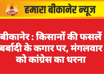बीकानेर : किसानों की फसलें बर्बादी के कगार पर, मंगलवार को कांग्रेस का धरना