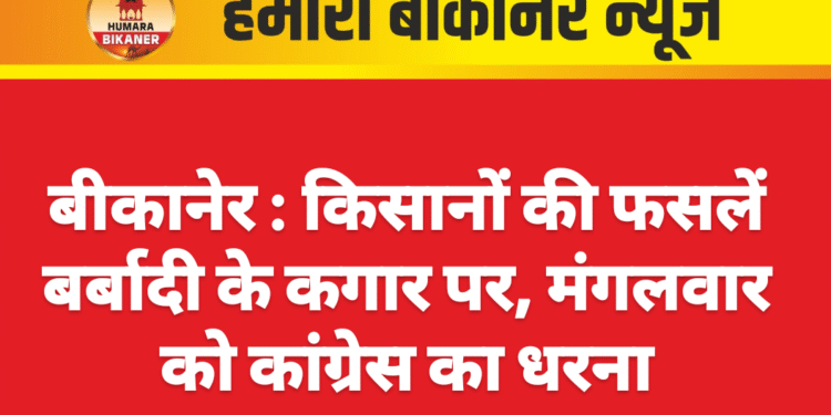 बीकानेर : किसानों की फसलें बर्बादी के कगार पर, मंगलवार को कांग्रेस का धरना