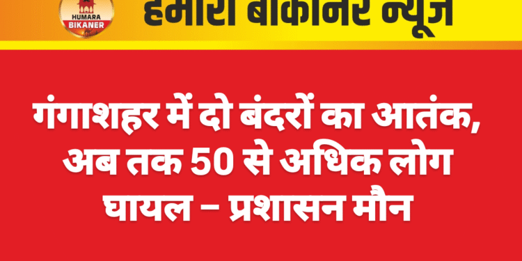 गंगाशहर में दो बंदरों का आतंक, अब तक 50 से अधिक लोग घायल – प्रशासन मौन