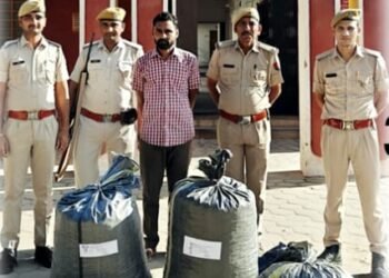 बज्जू पुलिस की बड़ी कार्रवाई: 43 किलो डोडा पोस्त के साथ एक आरोपी गिरफ्तार