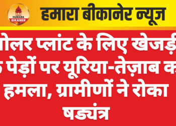 सोलर प्लांट के लिए खेजड़ी के पेड़ों पर यूरिया-तेज़ाब का हमला, ग्रामीणों ने रोका षड्यंत्र