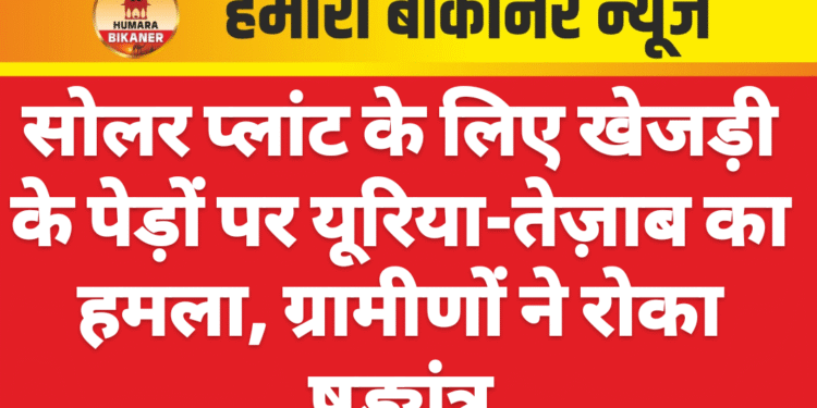 सोलर प्लांट के लिए खेजड़ी के पेड़ों पर यूरिया-तेज़ाब का हमला, ग्रामीणों ने रोका षड्यंत्र