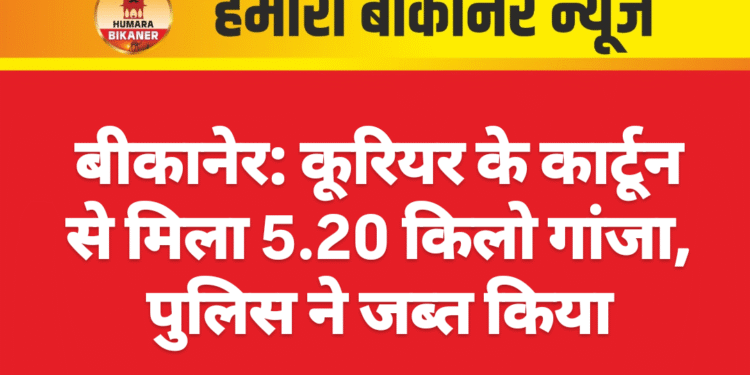 बीकानेर: कूरियर के कार्टून से मिला 5.20 किलो गांजा, पुलिस ने जब्त किया
