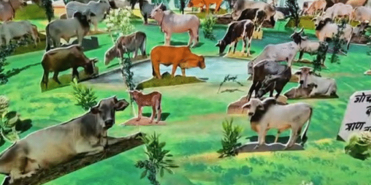 गोचर बचाओ, प्राण बचाओ कला यात्रा की शुरुआत चित्रकारों व गौसेवकों ने अनूठे अंदाज में जताया विरोध