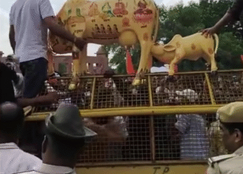 गोचर भूमि अधिग्रहण के विरोध में बीकानेर में बड़ा प्रदर्शन, कलेक्ट्रेट पर गौप्रेमियों का घेराव”