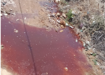 कादरी कॉलोनी में रंगाई का पानी बना परेशानी का सबब, सड़क पर भरा गंदा पानी…पढ़े पूरी खबर