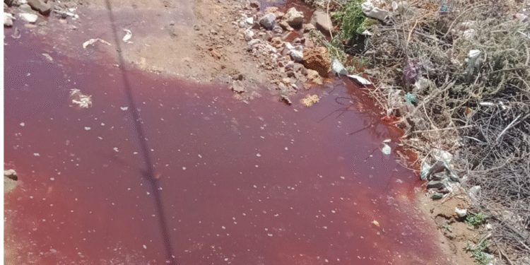 कादरी कॉलोनी में रंगाई का पानी बना परेशानी का सबब, सड़क पर भरा गंदा पानी…पढ़े पूरी खबर