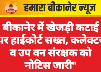 बीकानेर में खेजड़ी कटाई पर हाईकोर्ट सख्त, कलेक्टर व उप वन संरक्षक को नोटिस जारी”