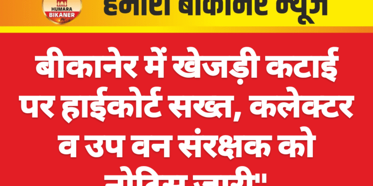 बीकानेर में खेजड़ी कटाई पर हाईकोर्ट सख्त, कलेक्टर व उप वन संरक्षक को नोटिस जारी”