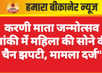 करणी माता जन्मोत्सव झांकी में महिला की सोने की चैन झपटी, मामला दर्ज”