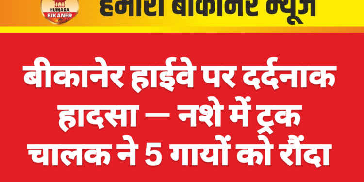 बीकानेर हाईवे पर दर्दनाक हादसा — नशे में ट्रक चालक ने 5 गायों को रौंदा