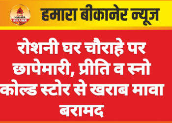 रोशनी घर चौराहे पर छापेमारी, प्रीति व स्नो कोल्ड स्टोर से खराब मावा बरामद