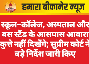 स्कूल–कॉलेज, अस्पताल और बस स्टैंड के आसपास आवारा कुत्ते नहीं दिखेंगे; सुप्रीम कोर्ट ने बड़े निर्देश जारी किए