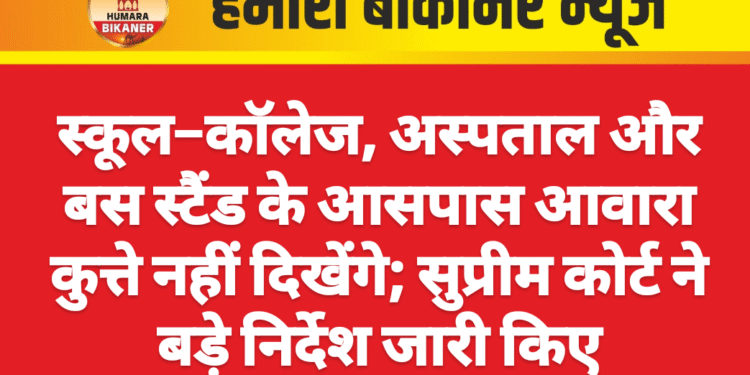 स्कूल–कॉलेज, अस्पताल और बस स्टैंड के आसपास आवारा कुत्ते नहीं दिखेंगे; सुप्रीम कोर्ट ने बड़े निर्देश जारी किए