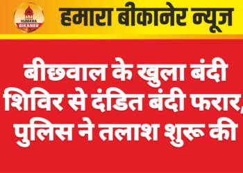 बीछवाल के खुला बंदी शिविर से दंडित बंदी फरार, पुलिस ने तलाश शुरू की