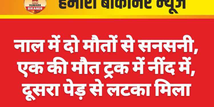 नाल में दो मौतों से सनसनी, एक की मौत ट्रक में नींद में, दूसरा पेड़ से लटका मिला