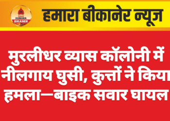मुरलीधर व्यास कॉलोनी में नीलगाय घुसी, कुत्तों ने किया हमला—बाइक सवार घायल
