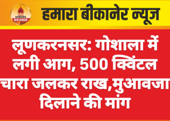 लूणकरनसर: गोशाला में लगी आग, 500 क्विंटल चारा जलकर राख,मुआवजा दिलाने की मांग