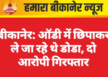 बीकानेर: ऑडी में छिपाकर ले जा रहे थे डोडा, दो आरोपी गिरफ्तार