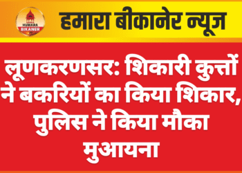 लूणकरणसर: शिकारी कुत्तों ने बकरियों का किया शिकार, पुलिस ने किया मौका मुआयना