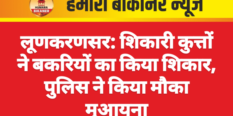 लूणकरणसर: शिकारी कुत्तों ने बकरियों का किया शिकार, पुलिस ने किया मौका मुआयना
