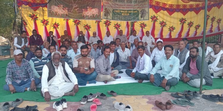 खेजड़ला रोही दैया आंदोलन 502वें दिन, पर्यावरण संघर्ष समिति का धरना 137वें दिन जारी