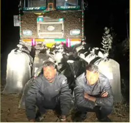 बीकानेर रेंज पुलिस की बड़ी कार्रवाई: कंटेनर से 479 किलो अवैध डोडा बरामद, दो तस्कर गिरफ्तार