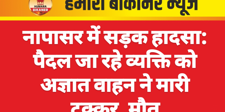 नापासर में सड़क हादसा: पैदल जा रहे व्यक्ति को अज्ञात वाहन ने मारी टक्कर, मौत