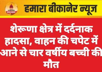शेरूणा क्षेत्र में दर्दनाक हादसा, वाहन की चपेट में आने से चार वर्षीय बच्ची की मौत