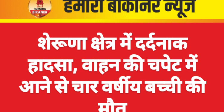शेरूणा क्षेत्र में दर्दनाक हादसा, वाहन की चपेट में आने से चार वर्षीय बच्ची की मौत