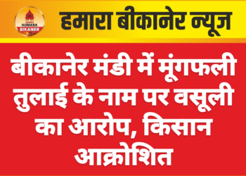बीकानेर मंडी में मूंगफली तुलाई के नाम पर वसूली का आरोप, किसान आक्रोशित