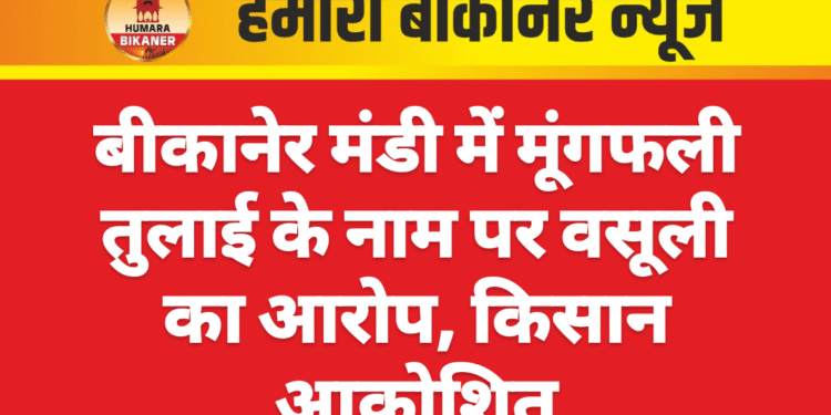 बीकानेर मंडी में मूंगफली तुलाई के नाम पर वसूली का आरोप, किसान आक्रोशित